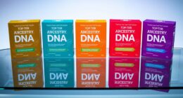 top ancestrydna kits 2025