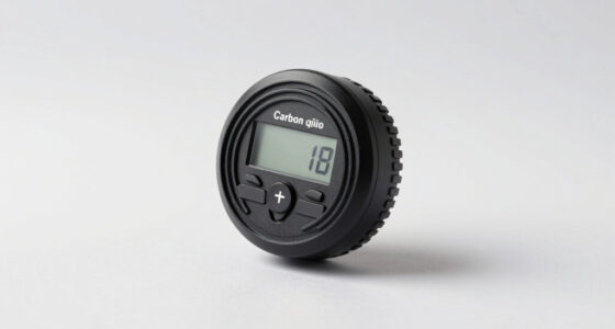 10 Best Carbon Monoxide Detectors for Tent Use in 2026