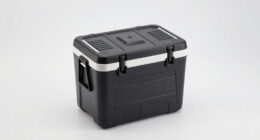 10 Best Electric Cooler for Camping in 2026