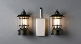 10 Best Light Stands for Campsite Lighting in 2026