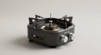 10 Best Multi Burner Camp Stove for Families in 2026