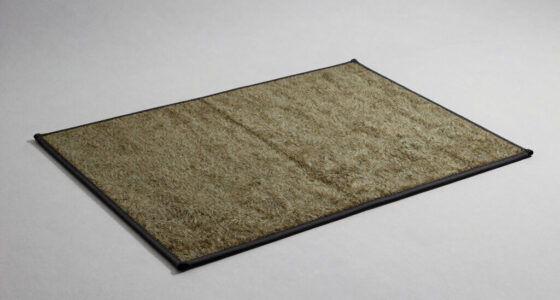 11 Best Tent Entrance Mats for Camping in 2026