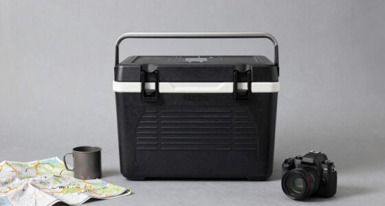 12 Best Powered Cooler for Road Trips and Camping in 2026