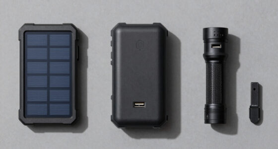 12 Best Rugged Power Bank for Backpacking in 2026