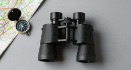13 Best Binoculars With Rangefinder For Wilderness Travel In 2026