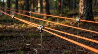 7 Best Guy Lines for Stormproof Tents in 2026