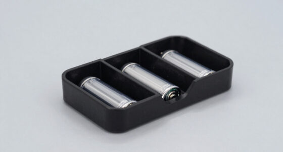 9 Best Battery Organizers for Camp Kits in 2026