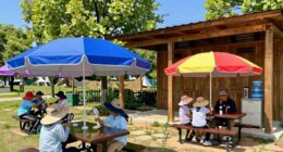 effective summer heat mitigation