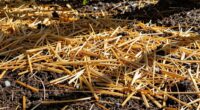 enhanced ground insulation benefits