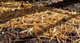 enhanced ground insulation benefits