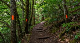 identify landmarks and markers