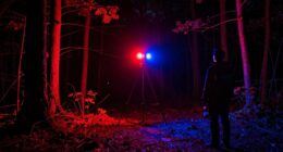 importance of emergency visibility