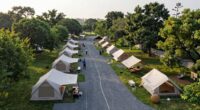 optimized camp layout strategies
