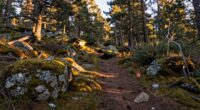 understanding terrain and exposure