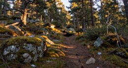 understanding terrain and exposure