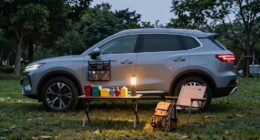 vehicle camping organization tips