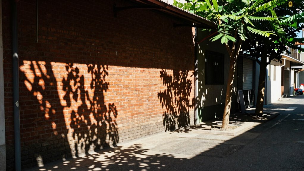 natural airflow and shade