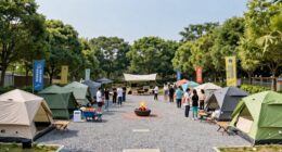 organize and simplify camping groups