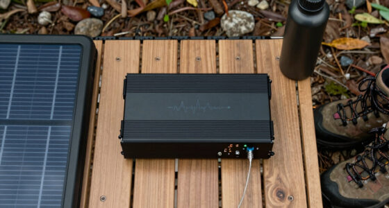 11 Best Pure Sine Wave Inverter for Off Grid Camping in 2026