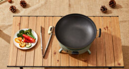 14 Best Portable Smoker Grill For Campsite Cooking In 2026