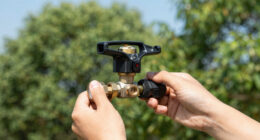 14 Best Water Pressure Regulators for Camp Showers in 2026