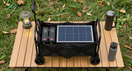 7 Best Power Cart For Hauling Camp Energy Gear In 2026