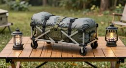 9 Best Hitch Mounted Swing Carrier for Camping in 2026