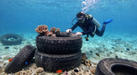 Florida’s Osborne Reef: 2 Million Tires Dumped in the Ocean to Build a ‘Revolutionary’ Reef… and It Wrecked the Marine Ecosystem