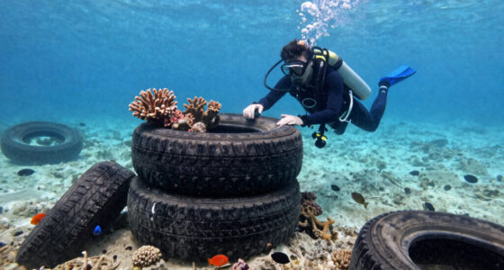 Florida’s Osborne Reef: 2 Million Tires Dumped in the Ocean to Build a ‘Revolutionary’ Reef… and It Wrecked the Marine Ecosystem