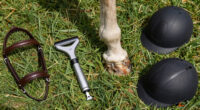 TIL that horses have no muscles in their lower legs, so their hooves act as "second hearts". A horse that can't move risks blood pooling in its hooves, which can cause tissue death starting from the hooves up. This is a key reason why leg injuries are often fatal for horses.