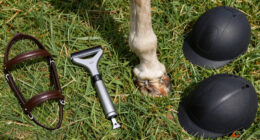 TIL that horses have no muscles in their lower legs, so their hooves act as "second hearts". A horse that can't move risks blood pooling in its hooves, which can cause tissue death starting from the hooves up. This is a key reason why leg injuries are often fatal for horses.