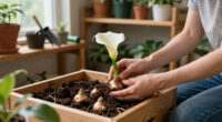 12 Best Calla Lily Bulbs in 2026