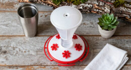 14 Best Hummingbird Feeders in 2026