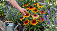14 Best Perennial Flowers in 2026