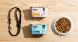 15 Best Dog Food in 2026