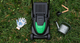 15 Best Electric Lawn Mowers in 2026