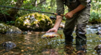 3 Tips for Catching Monster Brown Trout in Small Streams