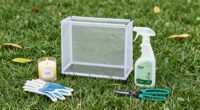 How to Prevent Ticks in Your Yard – 5 Expert-Approved Ways to Stop Them Moving In