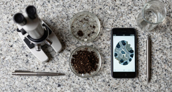 What appear to be biochemical processes may be a natural feature of geology