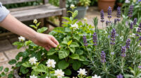 11 Best Fragrant Garden Plants in 2026
