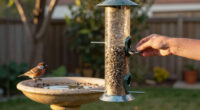 12 Best Bird Feeders and Baths in 2026