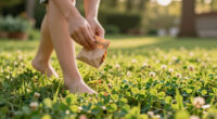 12 Best Clover Lawn Seeds in 2026