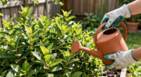 12 Best Shrubs for Summer Planting in 2026