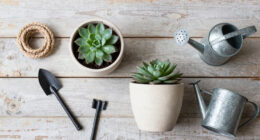 14 Best Outdoor Planters in 2026