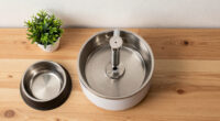 15 Best Pet Water Fountains in 2026