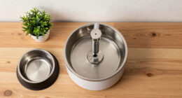 15 Best Pet Water Fountains in 2026