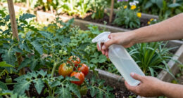 9 Best Garden Pest Control Treatments in 2026