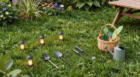 How To Turn Your Yard Into A Refuge For Fireflies