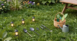 How To Turn Your Yard Into A Refuge For Fireflies