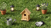 How to Turn Your Yard Into a Refuge for Fireflies